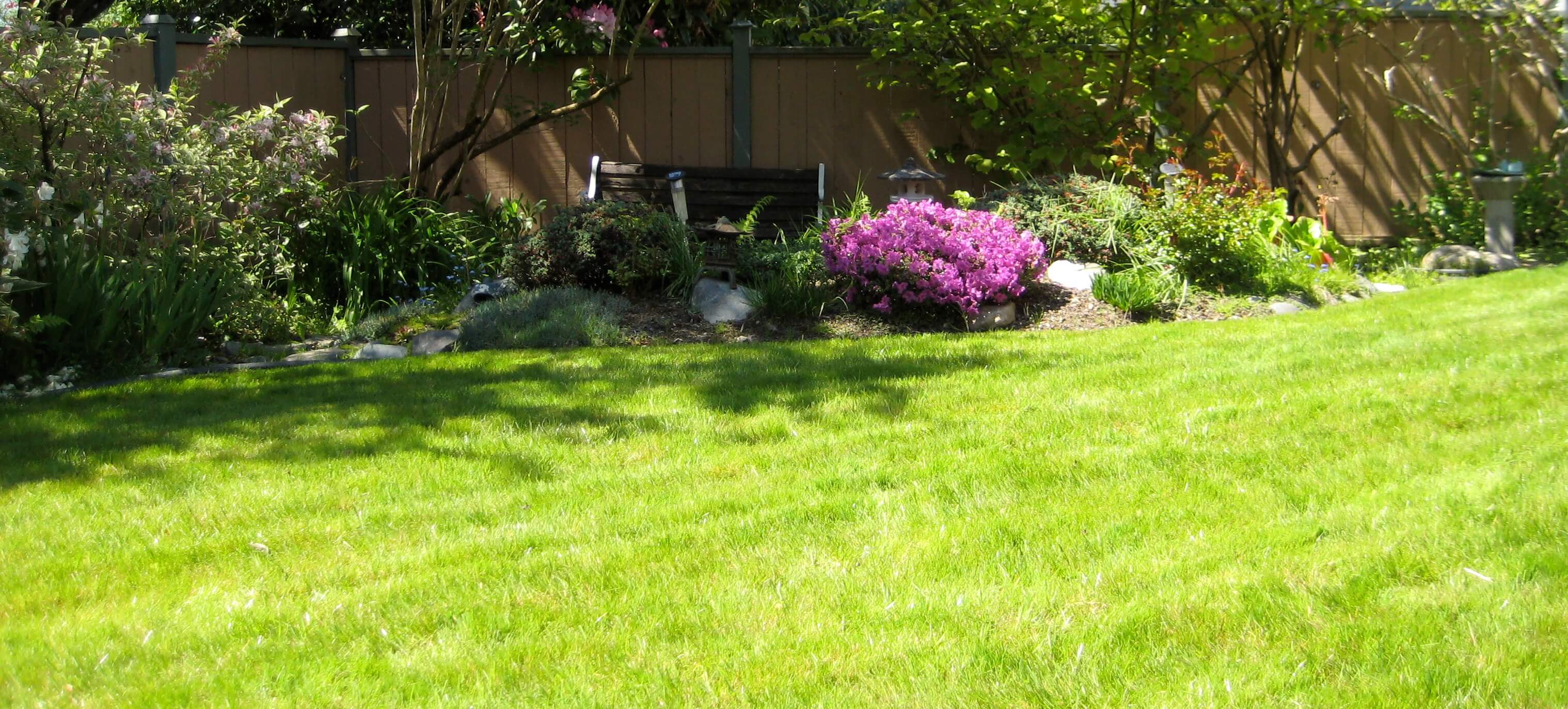 a real clients beautiful lawn